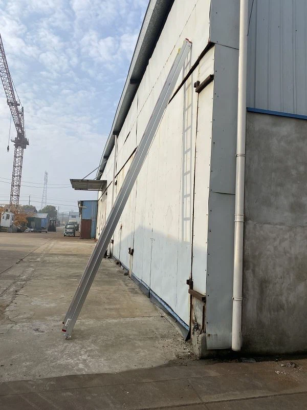 Single Straight Ladder best
